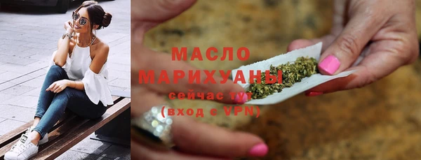 гашик Ладушкин