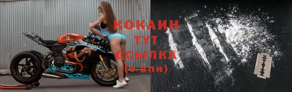 гашик Ладушкин
